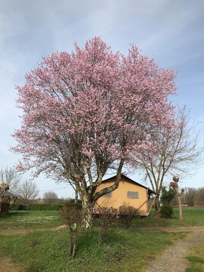 Le Mondou Saint-Julien-de-Lampon Eksteriør bilde